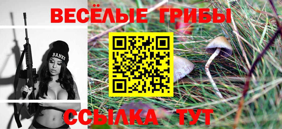 Псилоцибиновые грибы Psilocybine cubensis  Вход с VPN  Нижневартовск  Галлюциногенные грибы MAGIC MUSHROOMS 